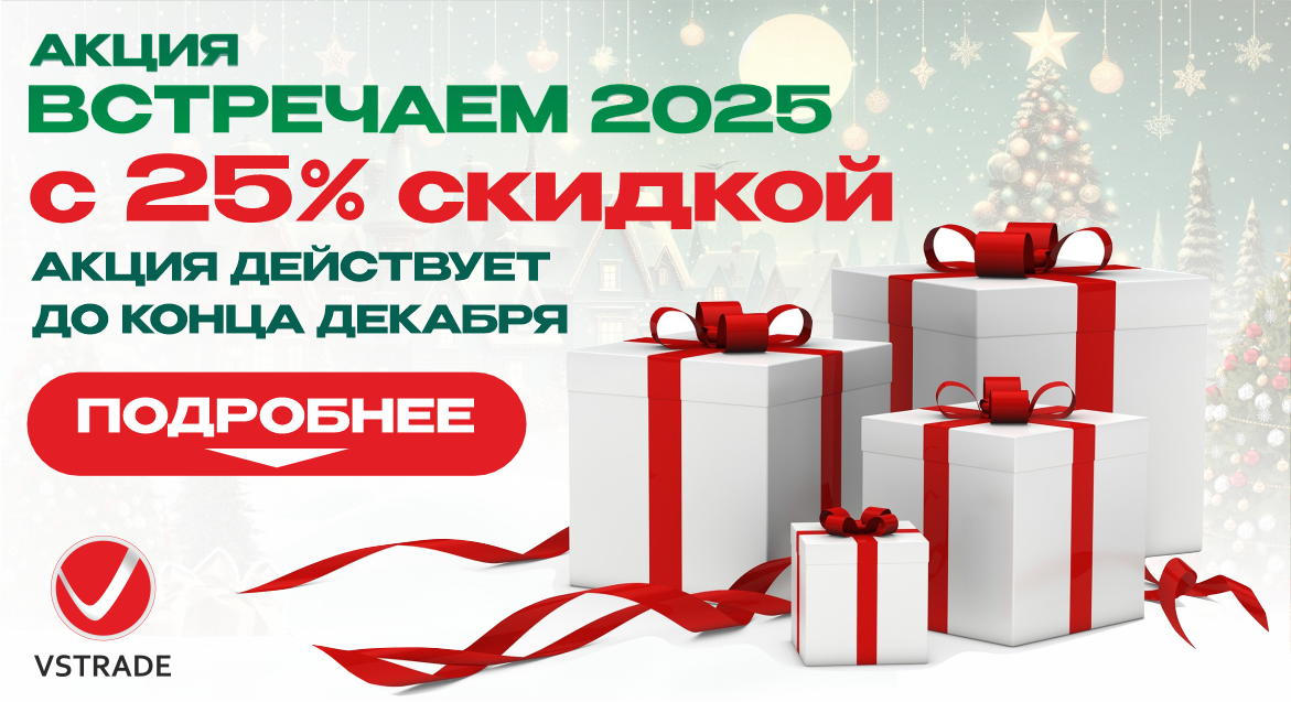 Встречаем 2025 с 25% скидкой