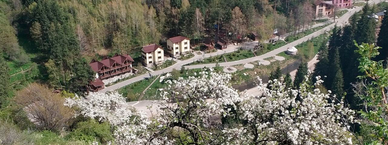Лесная сказка