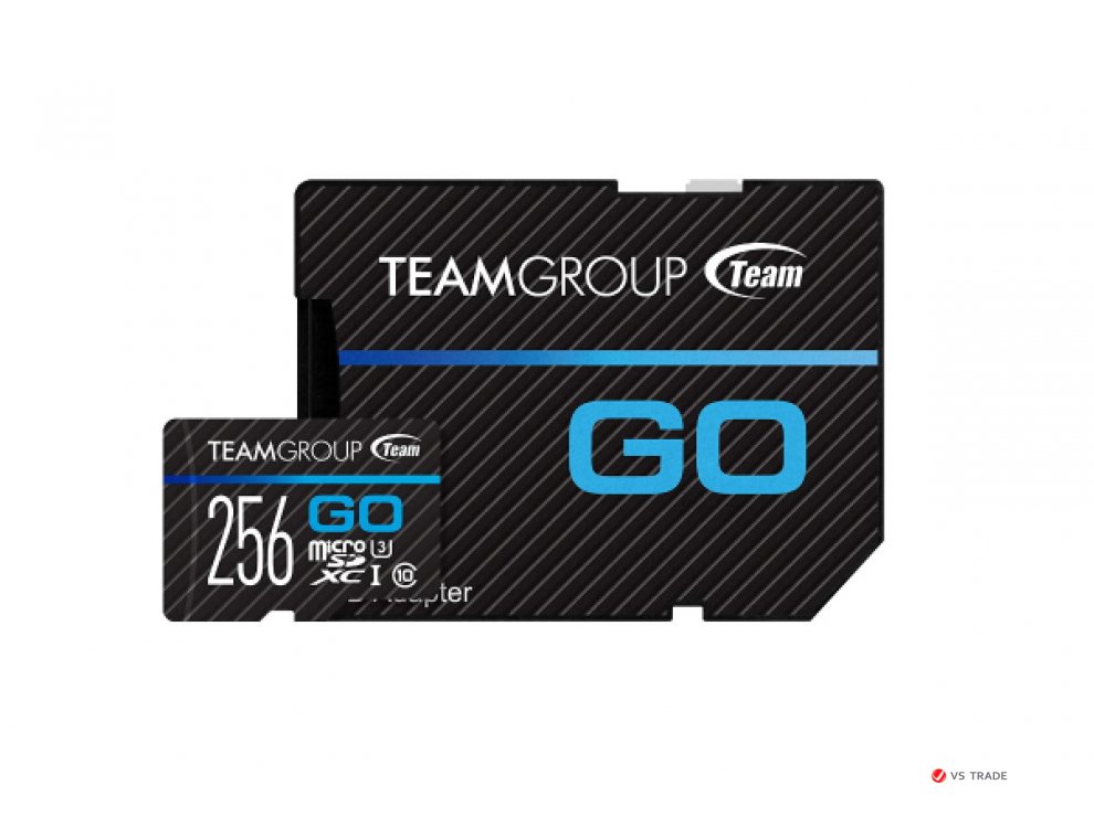 Карта памяти Team Group 256GB, TGUSDX256GU303