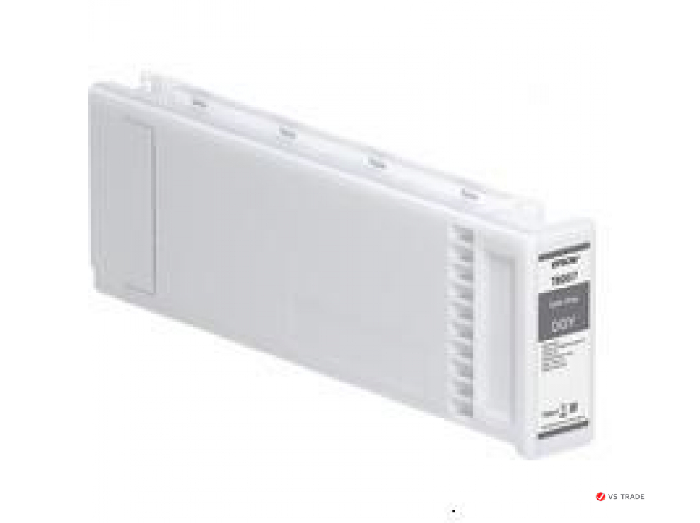 Картридж темно-серый Epson C13T800700 700 ml