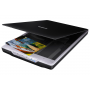 Сканер Epson Perfection V19 B11B231401