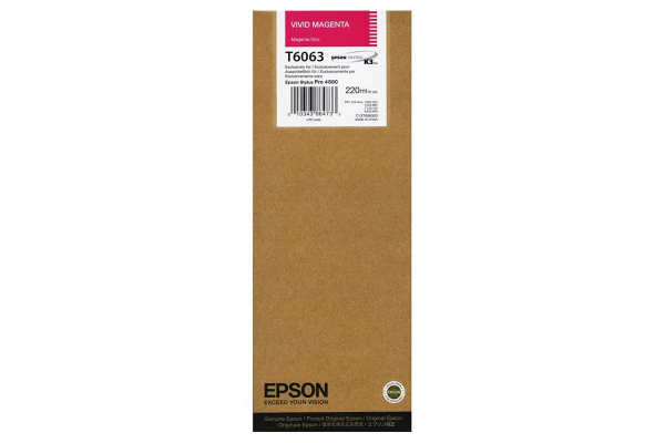 Картридж Epson C13T606300
