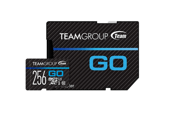 Карта памяти Team Group 256GB, TGUSDX256GU303